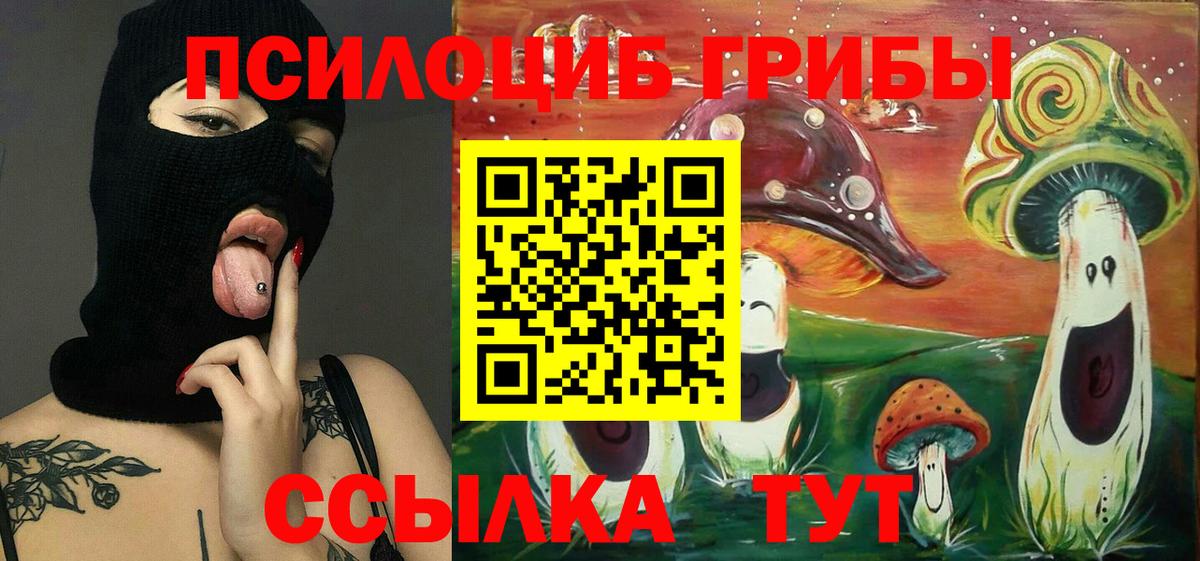 Бугульма  Псилоцибиновые грибы Cubensis  Вход с VPN 